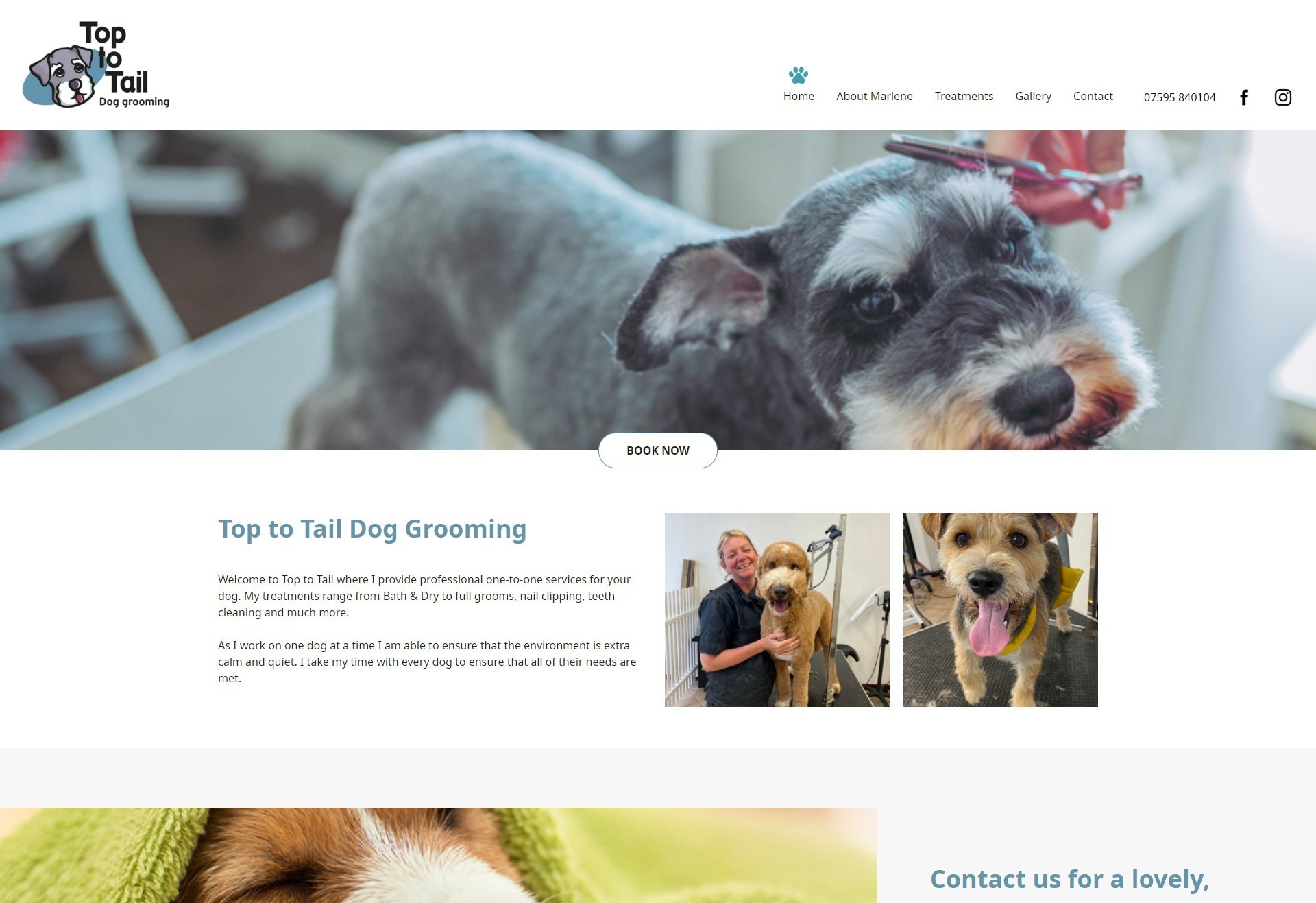 A dog grooming website design shown on desktop.
